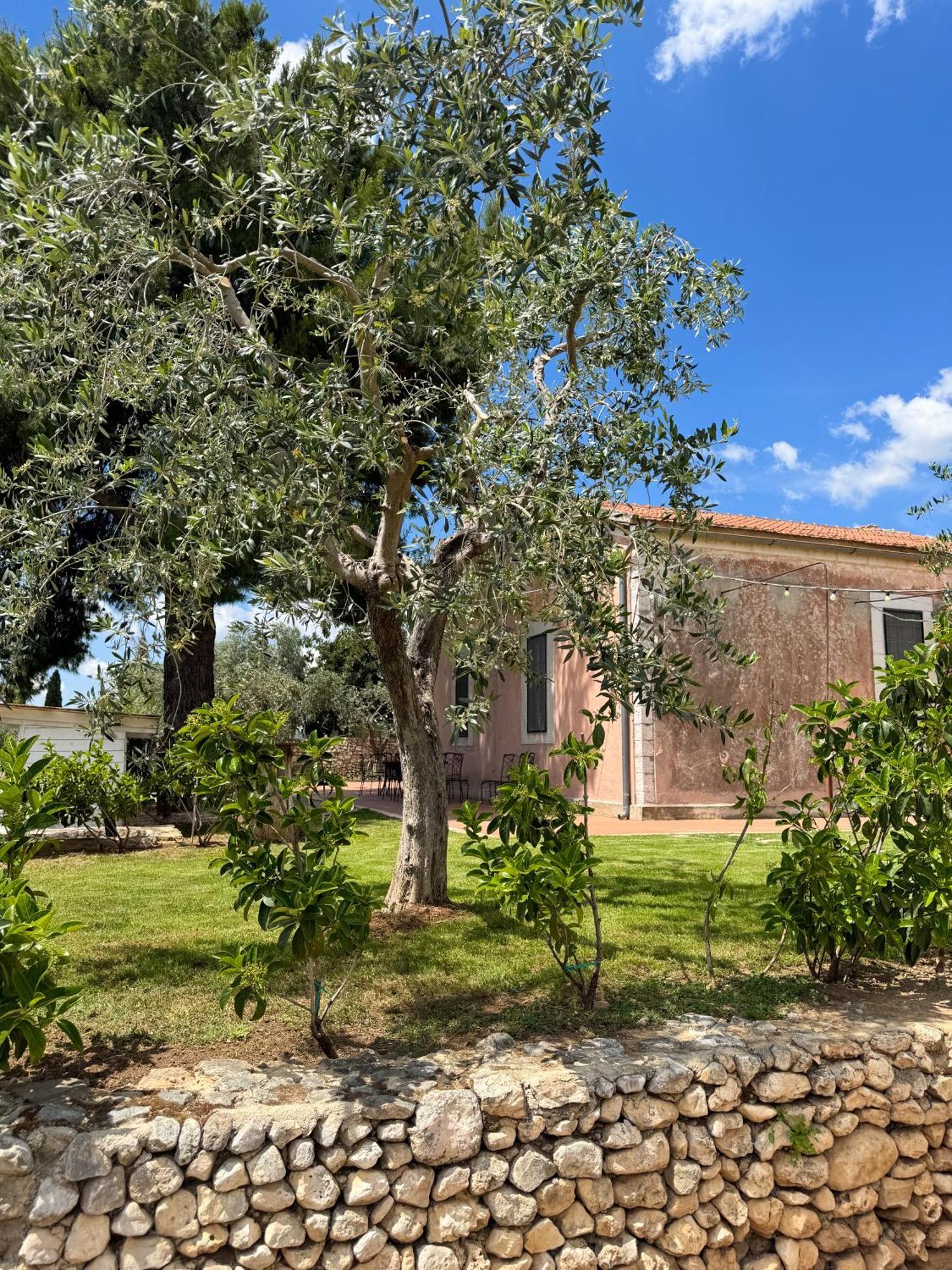 Signor Cesare Agrobistrot B&B San Giovanni Rotondo Exterior photo